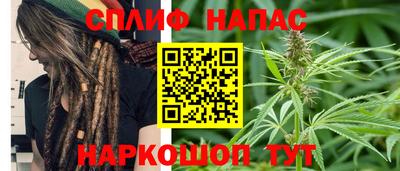 СК Пенза