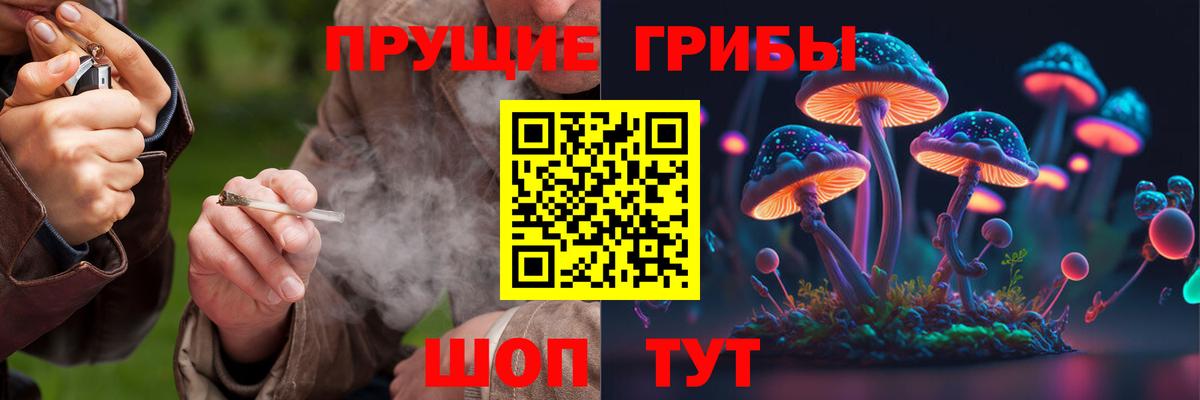 Томск  Галлюциногенные грибы MAGIC MUSHROOMS  Псилоцибиновые грибы Cubensis  Вход с VPN 